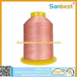 120d/2 Polyester-Stickgarn für Maschinenstickerei