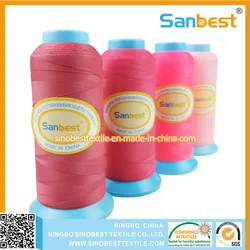 Fabriklieferung matte Polyester-Stickgarn für Stickmaschine
