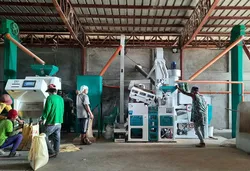 Nigeria Reisfarbsortiermaschine für parboiled Reisfarbsortierung