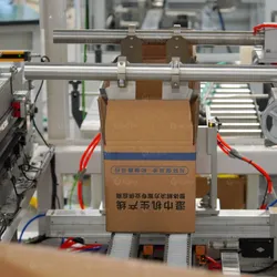 Automatische Kastenaufsteller- und Verpackungsmaschine Roboterarm Palettiermaschine