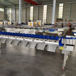 Effiziente Obstsortieranlage Sortiermaschine Gewichtssortiermaschine