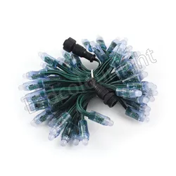Digitale RGB LED Licht 12mm Ws2811 IP67 LED Bullet Pixel Modul Licht