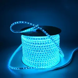 Hochspannungsfernbedienung APP Steuerung Farb RGB Streifen LED Seillicht