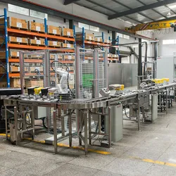 Desma Typ Roboter automatisierte Formlinie intelligenter Direktinjektionsprozess für die Automatisierung von Schuhfabriken