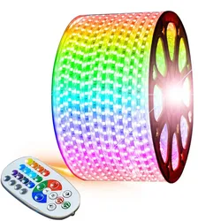 Hochspannungsfernbedienung APP Steuerung Farb RGB Streifen LED Seillicht