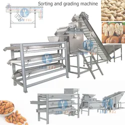 Edelstahl-Nussverarbeitungs-Partikel-Nusskern-Samen-Bohnen-Sortiermaschine-Siebmaschine-lineare Vibrationssieb-Klassifikationsklassifizierungsmaschine