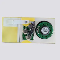 Eigenes Design 10s Customized Greeting Card Sound Module