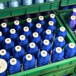 Mehrfarbiger umweltfreundlicher Stickmaschinenfaden mit Federkern 5000m