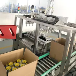 Máquina de Embalagem em Cartão para Fio de Costura