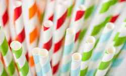 Biologisch abbaubare Papierstrohhalm-Formmaschine