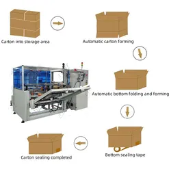 Lwt Aangepaste Verpakkingslijn Breed Automatische Doosoprichter Kartonnen Doos Vormmachine