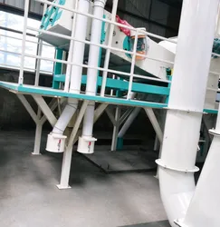 Hochleistungsfähige kompakte Mehrfach-Ölsaatenreinigungsanlage für die Rapssamenreinigung