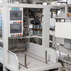 Línea de producción de empaquetado secundario con máquina de embalaje totalmente automática