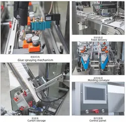 Máquina de Embalagem de Caixa de Cartonagem Automática para Snacks de Biscoito