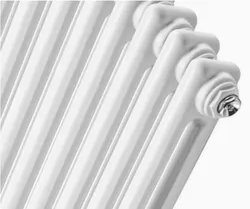 Weiße Säulenheizung H500mm X W768mm 2 Säulenheizung