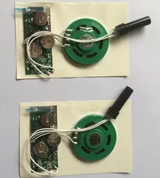 Módulo de Som com Sensor de Movimento Módulo de Som Gravável