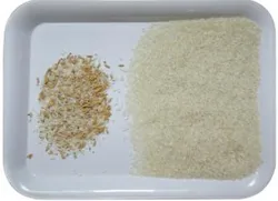 Reis-Trennmaschine Germ-Reis-Farbseparator mit null Ausfällen