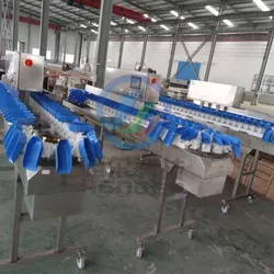 เครื่องคัดเกรดปลาและกุ้งอัตโนมัติที่มีประสิทธิภาพสูง