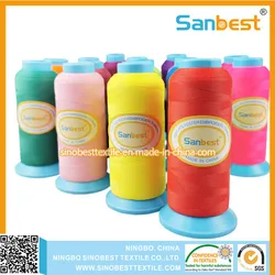 Fabriklieferung matte Polyester-Stickgarn für Stickmaschine