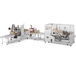 Vollautomatische Kartonaufstellmaschine