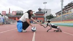 Cachorro robô programável de quatro patas com controle remoto, carregamento rápido e controle de voz para Android