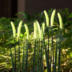 Decoração de Casa com Luz de Cordão LED Solar para Iluminação Ambiente