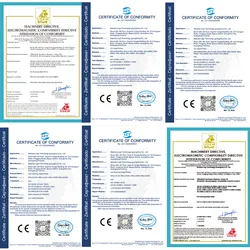 Automatische Inline Tij Tintenstrahldrucker Produktionslinie Chargennummer Codierung Kennzeichnungsmaschine