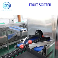 4 Kanäle Hochleistungs-Obstsortiermaschine mit Touchscreen-PLC-Steuerung