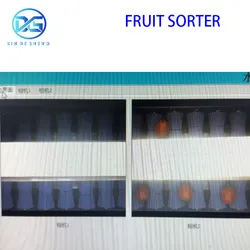 4 Kanäle Hochleistungs-Obstsortiermaschine mit Touchscreen-PLC-Steuerung