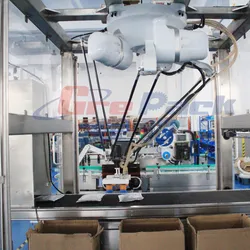 Automatische Spinnenarm / Delta-Roboter Beutel Karton Verpackungsmaschine & Flaschenfallpacker Verpackungsmaschine