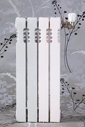 Herkömmlicher Gusseisen-Heizkörper 500mm Höhe