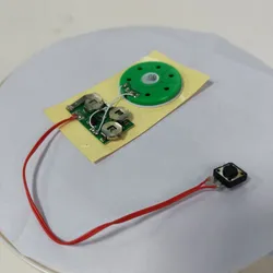 Módulo de Voz com Botão - Chip de Som Gravável para Projetos de Artesanato DIY
