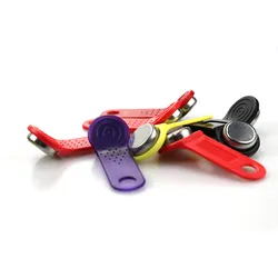 TM1990A-F5 iButton Sleutel/ TM Tags iButton Sleutel