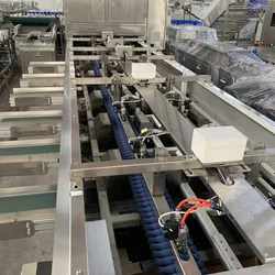 Sichtmaschine Olivensortierer und optische Sortiermaschine