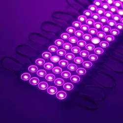 مبيعات ساخنة وحدة LED 1.2W 12V تيار مستمر 5LEDs SMD5630 IP65 وحدات LED مقاومة للماء للإضاءة لصناديق الإعلانات