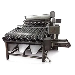Meeresfrüchte Garnelenverarbeitungs-Klassifizierer automatischer Garnele Fischgrößenklassifizierungsmaschine Sortiermaschine