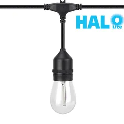 Fio de Luz Esférico Halolite S14 Mudança de Cor Atmosfera Luz Decorativa