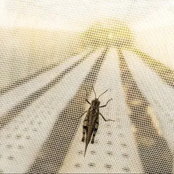 Tela de Janela Antimosquito Cortina Rede Inseto