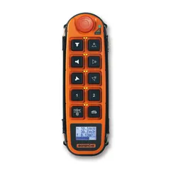 Famoso Sistema di Controllo Remoto Wireless per Radio