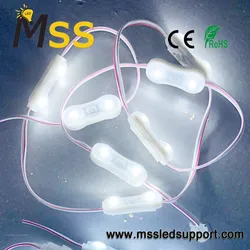 Alta Brilhância 2 LEDs ou 3 LEDs 3030 Módulo SMD IP67 Módulo de Injeção LED para Sinais Publicitários com CE RoHS UL