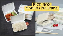 Máquina de Formação de Caixa de Embalagem para Alimentos para Viagem em Papel Erectável Multifuncional para Arroz