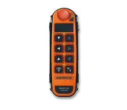 Famoso Sistema di Controllo Remoto Wireless per Radio