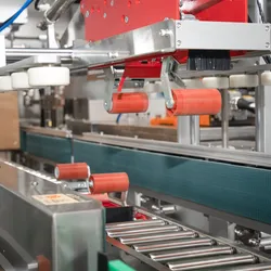 Automatischer Kistenentpackungsmaschine Kistenversiegelungsmaschine Kartonaufrichtmaschine