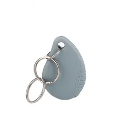 RFID-sleutelhanger, RFID-tag voor Toegangscontrolesysteem