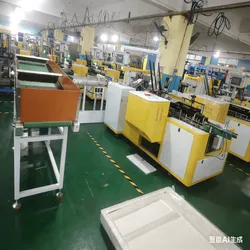 Máquina de Embalagem em Caixa de Cartão para Lâmpada e Bulbo LED Multifuncional Automático