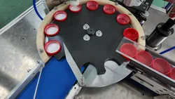 Automatische Kappenverkleidungseinlegemaschine