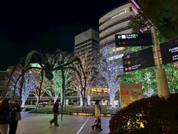 IP65 Luz de Fita LED Impermeável para Decoração de Árvores de Rua ao Ar Livre