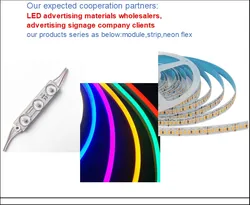 5 Jahre IP68 Wasserdicht DC12V LED-Injektionsmodul für Beschriftungsbuchstaben