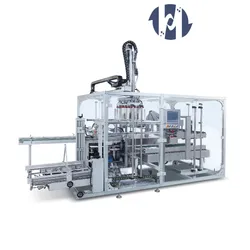 Máquina de Embalagem Automática de Caixas de Papelão Linha de Produção para Garrafa