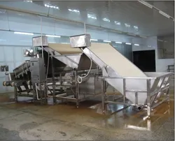 Meeresfrüchte Garnelenverarbeitungs-Klassifizierer automatischer Garnele Fischgrößenklassifizierungsmaschine Sortiermaschine